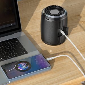 Câble de conversion audio 3,5 mm vers Type-C "UPA22"