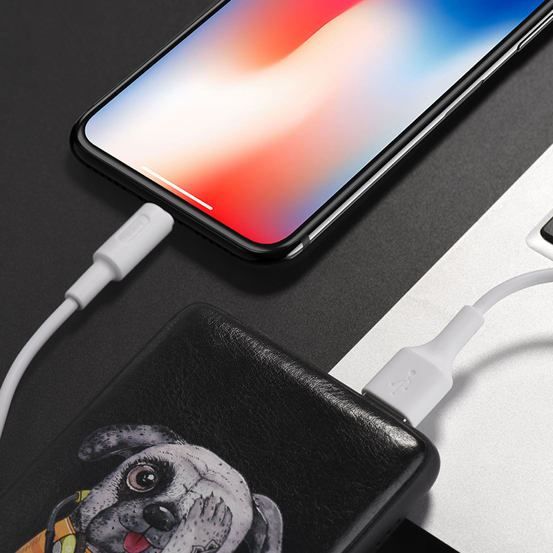 Câble USB vers Lightning «X25 Soarer» synchronisation des données de charge