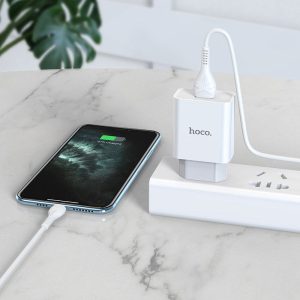 Chargeur mural "C81A Asombroso" Jeu de prises UE avec câble