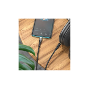 UPA25 Câble de conversion audio numérique vers USB-C/Type-C