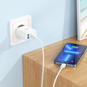C105A Stage double port 20W (Type-C + USB) avec câble Type-C vers Type-C