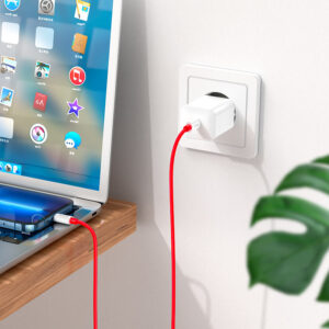 Câble Type-C vers Lightning « X87 Magic »
