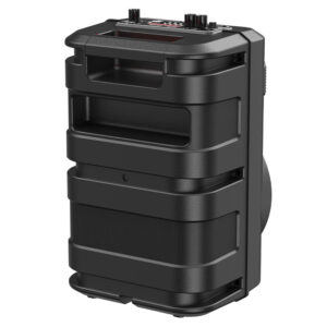 Enceinte sans fil « BS46 Mature »