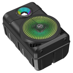 Enceinte sans fil « BS46 Mature »