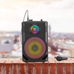 Enceinte sans fil « BS46 Mature »