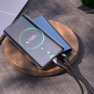 Câble de Charge et de Données U95 Freeway PD 60 W Type-C vers Type-C