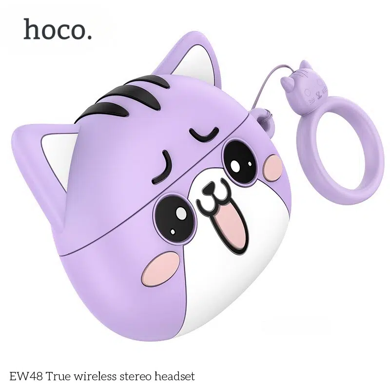 Ecouteurs sans fil EW48 HOCO
