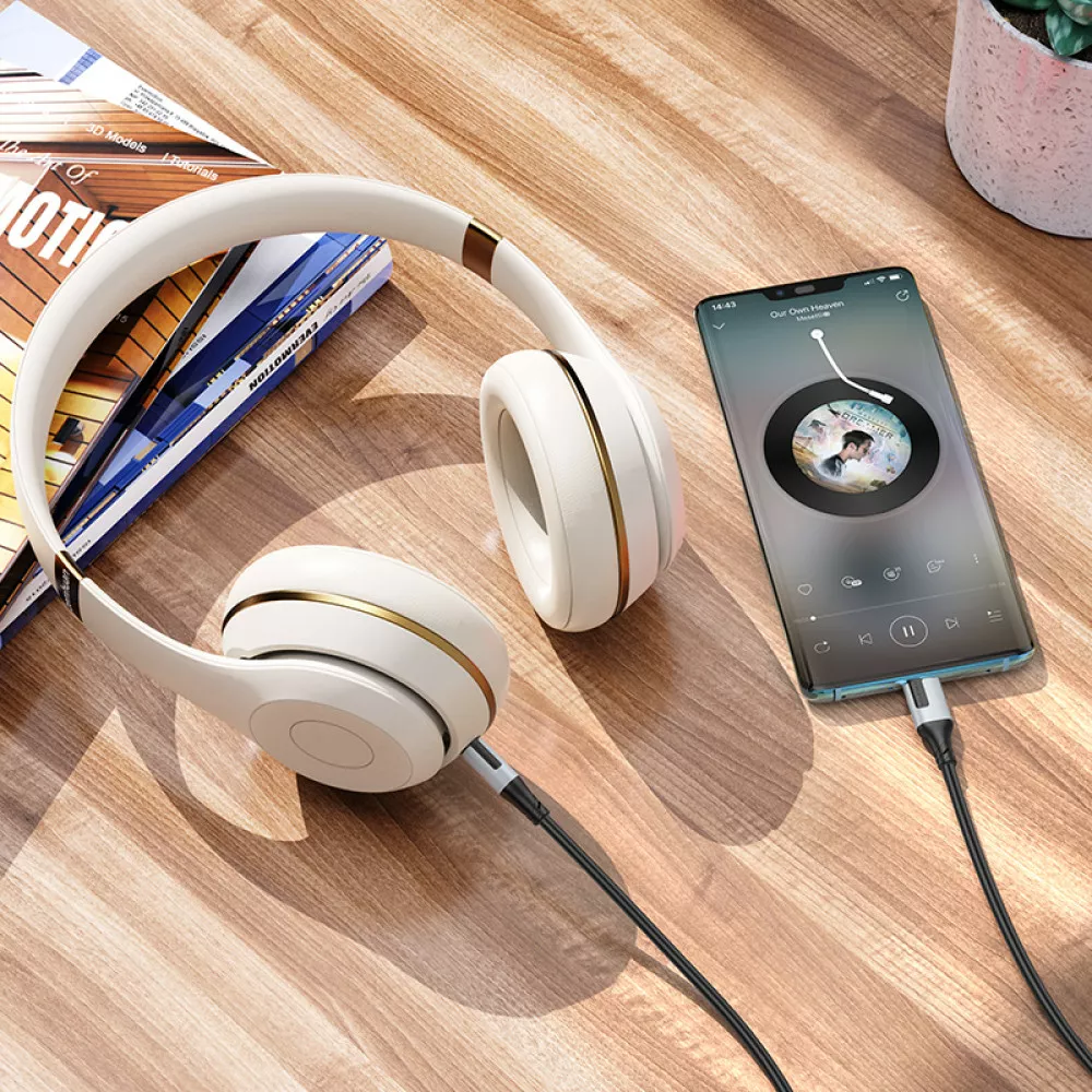 Câble Audio BL19 BOROFONE