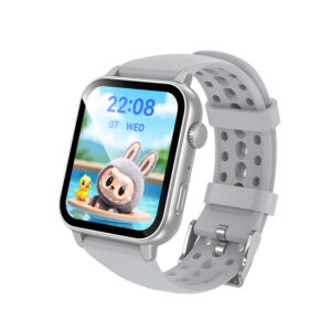 Montre Connectée BD15 BOROFONE